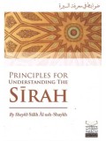 Principles for Understanding Sirah PB